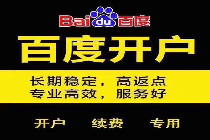 SEM服务公司助力企业竞争案例