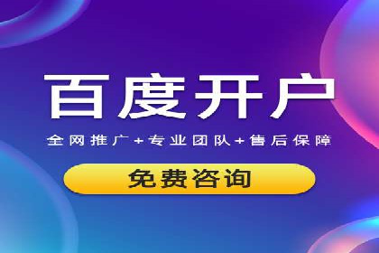 某电商平台的SEM优化案例分享